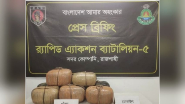 মোহনপুরে  গাঁজাসহ মাদক ব্যবসায়ী গ্রেফতার