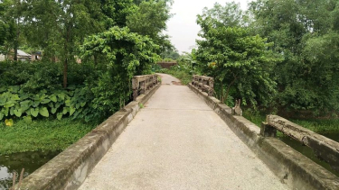 ভেড়ামারায় দুই ইউনিয়নের সংযোগস্থলের জরাজীর্ণ ব্রিজটি এখন মরণফাঁদ, চরম দুর্ভোগে এলাকাবাসী