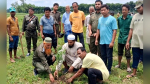পীরগঞ্জে উদ্ধারকৃত ৮৪ একর সংরক্ষিত বনভূমিতে ৮৪ হাজার গাছের চারা রোপণ