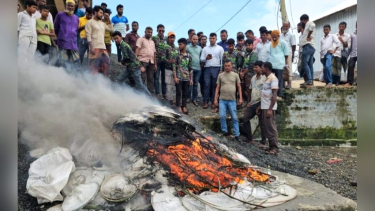 কলাপাড়ায় ১০০০ পিস নিষিদ্ধ চায়না দুয়ারী জাল জব্দ, পুড়িয়ে ধ্বংস