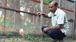 পটুয়াখালীর খামারে কোটি টাকার সাপের বিষ, নেই বাজারজাতের সুযোগ