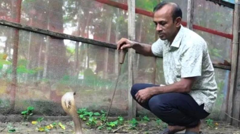 পটুয়াখালীর খামারে কোটি টাকার সাপের বিষ, নেই বাজারজাতের সুযোগ