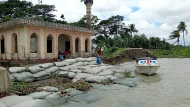 জিওব্যাগেও মিলছে না সুরক্ষা, পায়রার ভাঙনে বিলীন হচ্ছে মির্জাগঞ্জ