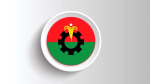 ডিসেম্বরে কাউন্সিলের পরিকল্পনা বিএনপির