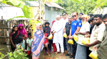 দোহারের পশ্চিমচরে রান্না করা খাবার  বিতরণ