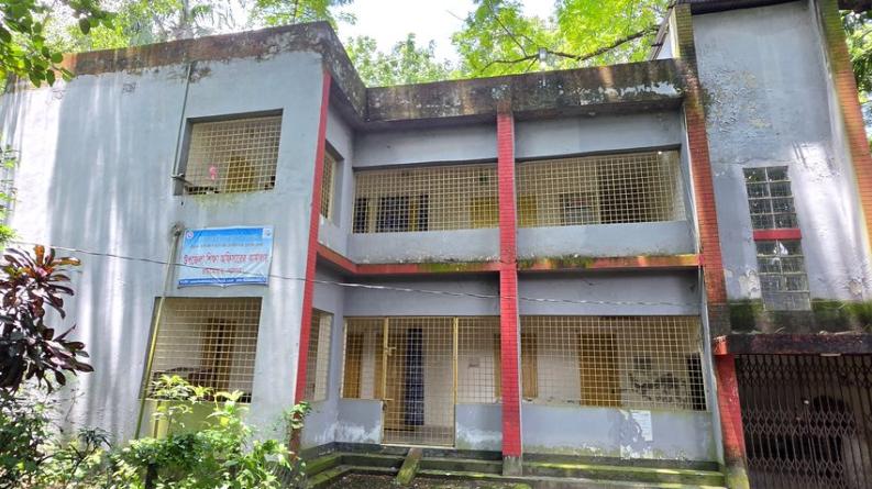 চাটমোহরে ৪৯টি সরকারি প্রাথমিক বিদ্যালয়ের শতাধিক শিক্ষককে শোকজ