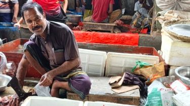 ইলিশের ভরা মৌসুমেও ভেড়ামারার বাজারে চড়া দামে মধ্যবিত্তদের নাভিশ্বাস