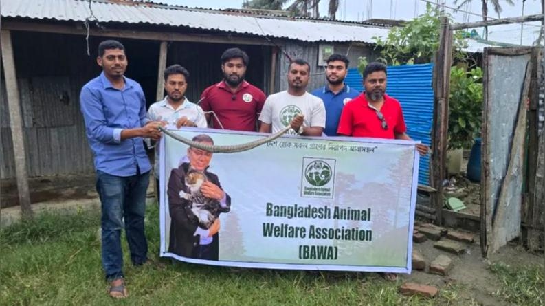 কলাপাড়ায় বসতবাড়ি থেকে পদ্ম গোখরা সাপ উদ্ধার