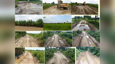 ভেড়ামারায় অবৈধ মাটি কাটায় ধ্বংস গ্রামীণ সড়ক