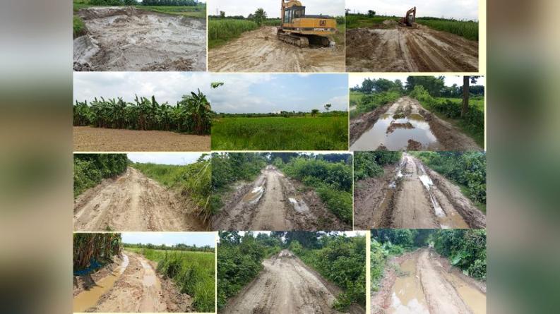 ভেড়ামারায় অবৈধ মাটি কাটায় ধ্বংস গ্রামীণ সড়ক