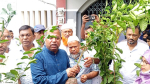 বাউফলে পৌর বিএনপি সভাপতির উদ্যোগে শিক্ষার্থীদের মাঝে গাছের চারা বিতরণ