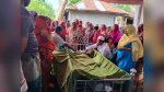শিয়াল মারার ‘বৈদ্যুতিক ফাঁদে বিদ্যুৎস্পৃষ্টে কৃষকের মৃত্যু