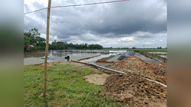 নবীগঞ্জে ঘুঙ্গিয়াজুড়ি হাওরে অবৈধ বালু উত্তোলনের জন্য ৫০ হাজার টাকা জরিমানা