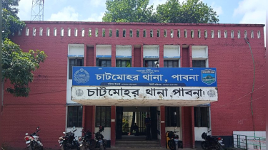 চাটমোহরে ধারালো অস্ত্রাঘাতে কুকুর হত্যার অভিযোগ