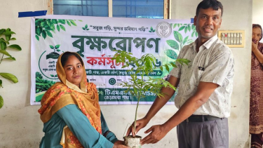 ভেড়ামারায় টিএমএসএসের উদ্যোগে বিনামূল্যে ৫০০ গাছের চারা বিতরণ