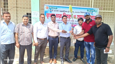 সুজানগরে আন্তর্জাতিক যুব দিবসে বৃক্ষের চারা বিতরণ