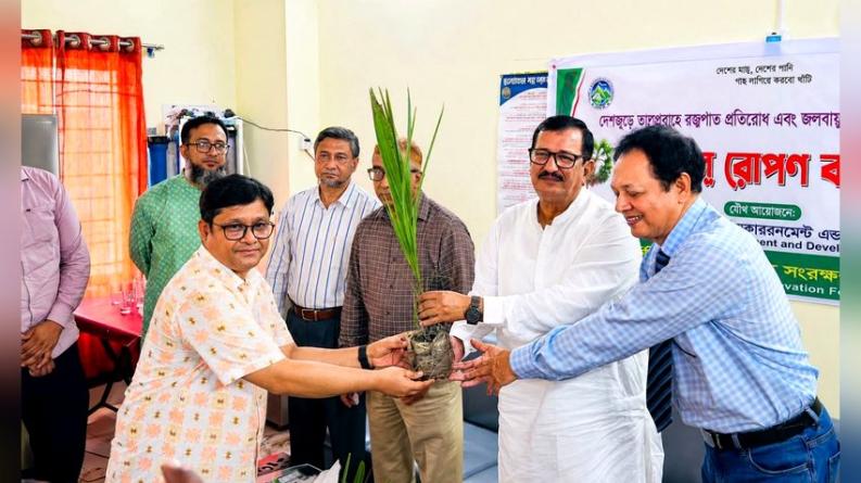 রাজশাহীতে ১ হাজার তালগাছের চারা রোপণ কর্মসূচি