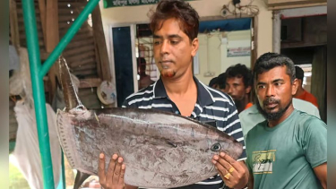 কুয়াকাটায় জেলের জালে ধরা পড়ল ‘অচেনা’ মাছ, দেখতে ভিড়