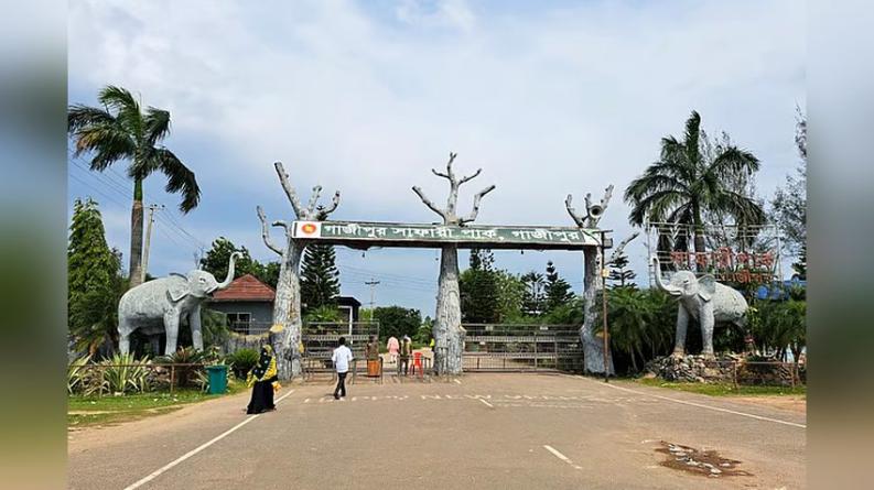 সাফারি পার্কে বেড়াতে গিয়ে দুই সন্তানসহ ‘মারধরের শিকার’ নারী