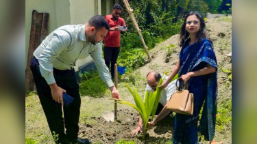 ভেড়ামারায় বৃক্ষরোপণ করলেন উপ-ভূমি সংস্কার কমিশনার