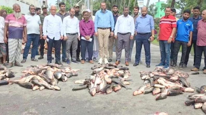 পবিপ্রবির লেকের মাছ পেলেন হলের শিক্ষার্থীরা