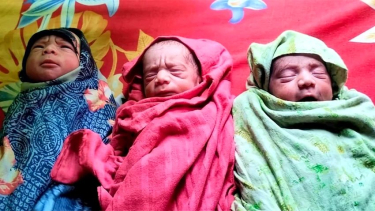 একসঙ্গে ৩ পুত্রসন্তানের জন্ম, পরিবারে আনন্দ
