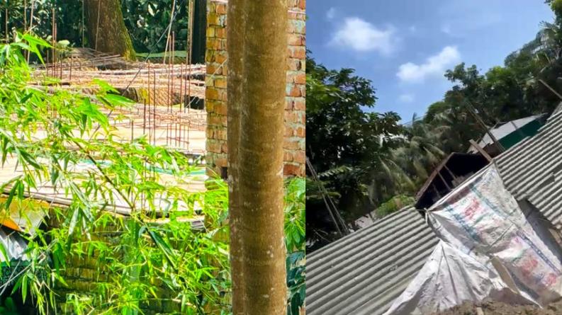 চরফ্যাসনে বেড়িবাঁধ কেটে চলছে বহুতল ভবন নির্মাণ, নজরদারি নেই প্রশাসনের