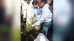 ভোলা-চরফ্যাশন মহাসড়কের দুই পাশে বৃক্ষরোপণ কর্মসূচি উদ্বোধন করলেন স্পিকার