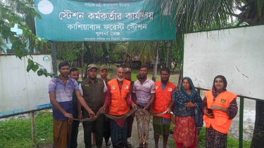 কয়রার লোকালয়ে অজগর, খাদ্যসংকটে সুন্দরবন নিয়ে শঙ্কা
