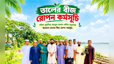 দুমকিতে বজ্রপাতের ঝুঁকি কমাতে সড়কের পাশে তালবীজ বপন