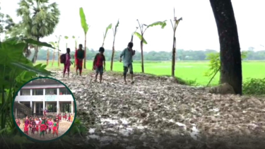 তিন যুগেও পাকা হয়নি গলাচিপার ৪ কিলোমিটার সড়ক, দুর্ভোগ অর্ধলক্ষ মানুষের