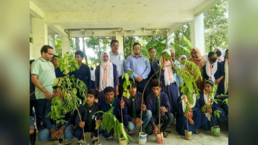 দুমকিতে ডেঙ্গু প্রতিরোধে পরিচ্ছন্নতা ও বৃক্ষরোপণ অভিযান