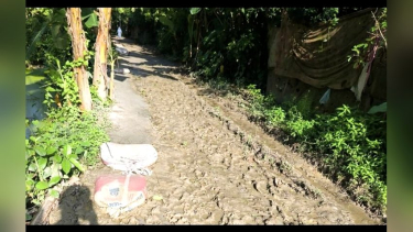 বাউফলের ৩০ বছরেও পাকা হয়নি সড়ক, চলাচলে দুর্ভোগ