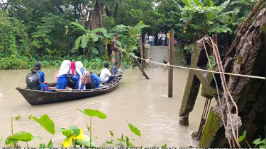 তালতলীতে সেতু ভেঙে খালে, শিক্ষার্থীসহ গ্রামবাসীর ভরসা এখন নৌকা
