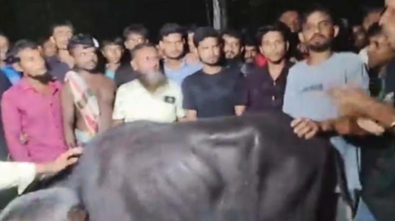 পটুয়াখালীর গলাচিপায় ৫ মহিষসহ সাংবাদিক পরিচয় দেওয়া দুই ব্যক্তি আটক