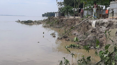 তিস্তায় সাত দিনের ভাঙনে বিলীন ২০ বাড়ি, আশ্রয়হীন ২৫ পরিবার