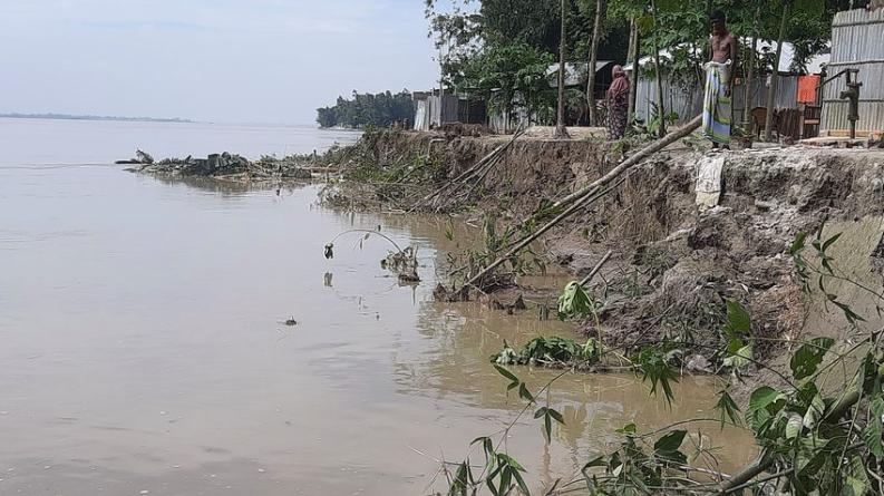 তিস্তায় সাত দিনের ভাঙনে বিলীন ২০ বাড়ি, আশ্রয়হীন ২৫ পরিবার