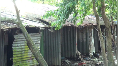 পটুয়াখালীর ৭৪ আবাসন প্রকল্পে জরাজীর্ণ ঘর, বর্ষায় দুর্ভোগ
