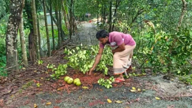 দুমকিতে ব্যবসায়ীর বসতঘরে গভীর রাতে ইটপাটকেল নিক্ষেপ