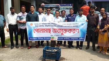 ভেড়ামারায় ১০ প্রাতিষ্ঠানিক জলাশয়ে মৎস্য পোনা অবমুক্ত