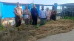 কাউখালীতে সন্ধ্যা নদীতে অভিযানে ৩ হাজার মিটার অবৈধ চরগড়া জাল জব্দ