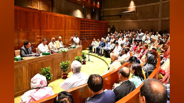 ‘স্বৈরাচার-গুপ্তরা’ এক হতে পারে, এমপিদের ঐক্যবদ্ধ থাকার নির্দেশ তারেক রহমানের