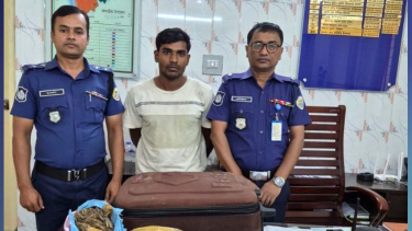 পিরোজপুরে ঘরে অভিযান চালিয়ে ৪ কেজি গাঁজাসহ যুবক আটক