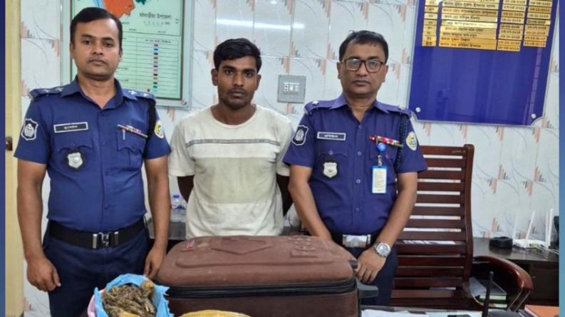 পিরোজপুরে ঘরে অভিযান চালিয়ে ৪ কেজি গাঁজাসহ যুবক আটক