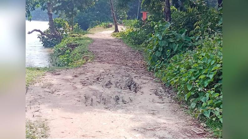 কাঁঠালিয়ায় ৩ কিলোমিটার সড়ক বেহাল, চলাচলে চরম ভোগান্তি
