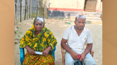 হাঁস নিয়ে বিরোধে অন্তঃসত্ত্বাসহ একই পরিবারের ৩ জনকে পিটিয়ে আহত