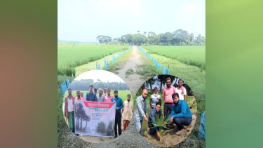 বজ্রপাতের ঝুঁকি কমাতে চরফ্যাশনে ২০০ তালগাছের চারা রোপণ