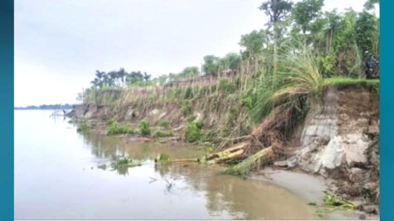 ভেড়ামারায় দুই মাসে পদ্মার ভাঙনে বিলীন ৫০০ বিঘা জমি