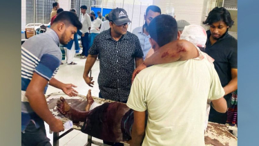 পিরোজপুরের কাউখালীতে বাস-অটোরিকশার সংঘর্ষে নারীসহ তিনজন গুরুতর আহত