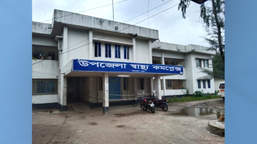 ধানক্ষেত দেখতে গিয়ে সাপের কামড়ে কৃষকের মৃত্যু